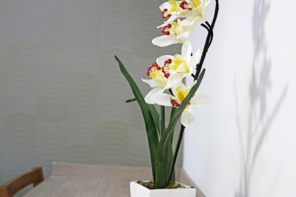 Pousada Shangrila Ribeirao Preto Room photo